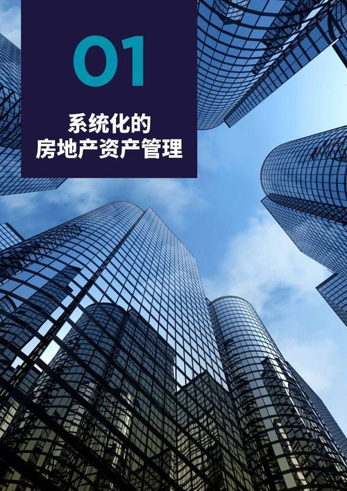 2024年资产管理优化